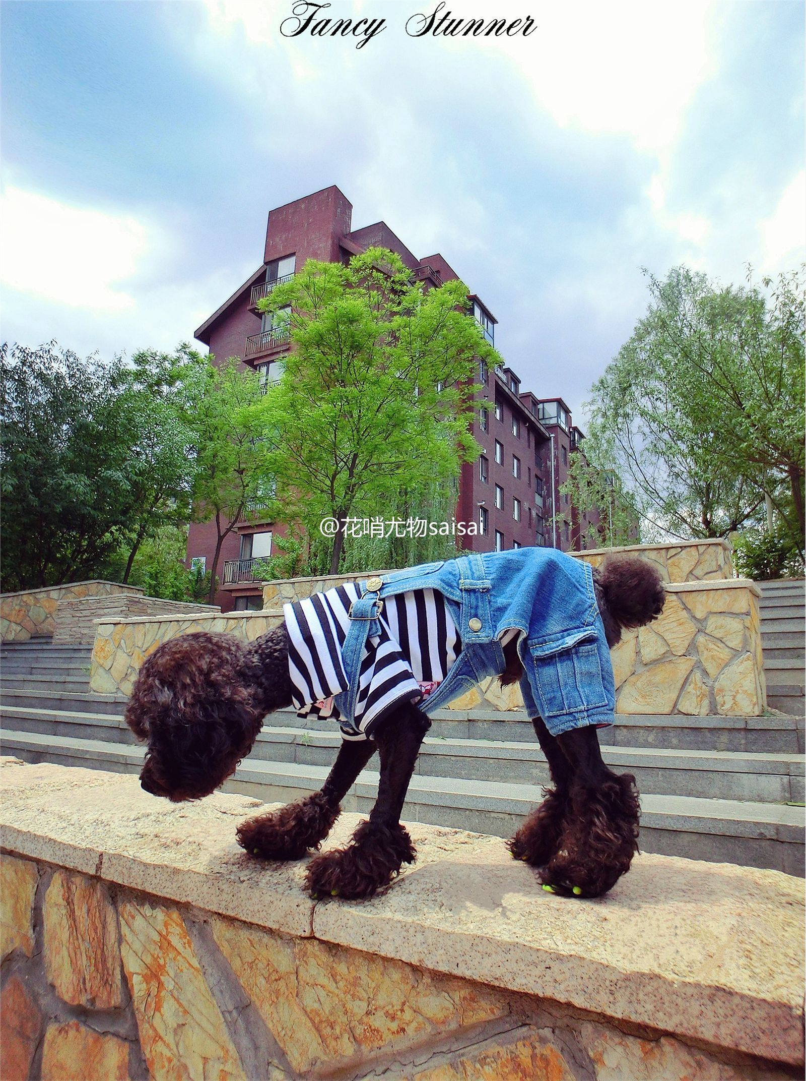 花哨尤物saisai的微博列表微女郎 2